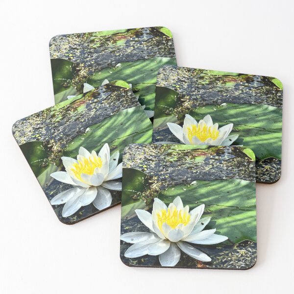 Item preview, Water Lilies  designed and sold by MirStation-72.