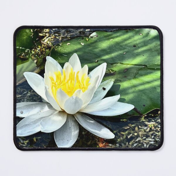 Item preview, Water Lilies  designed and sold by MirStation-72.
