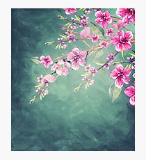 Vintage Garden (Peach Blossoms) Photographic Print