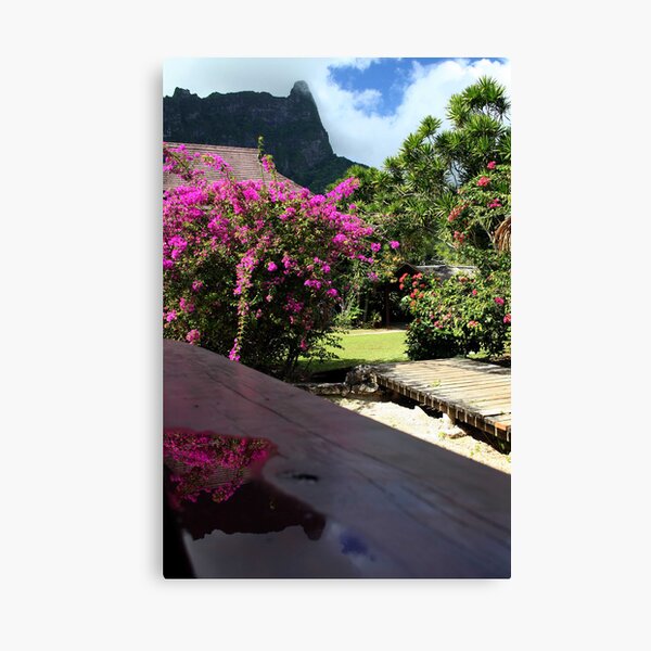 Moorea Morning Canvas Print