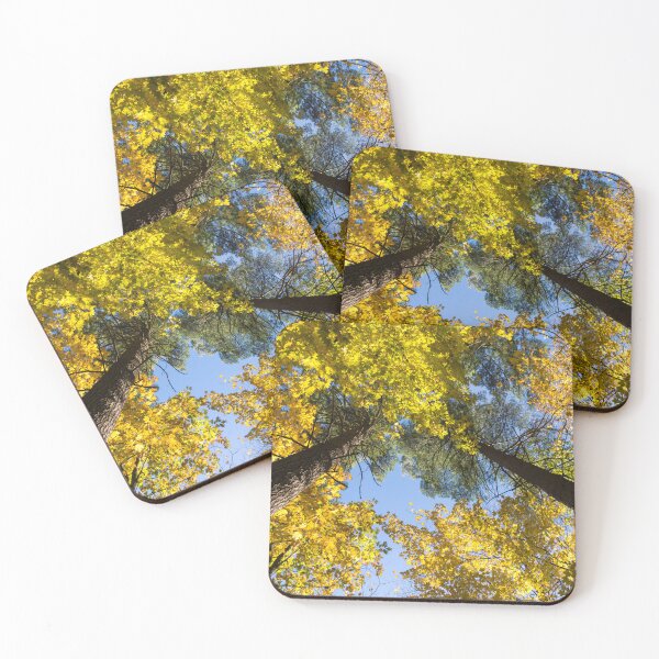 Item preview, Looking Skyward - Lodgepole Pines Slender Trunks Holding the Autumn Canopy designed and sold by Georgia Mizuleva.