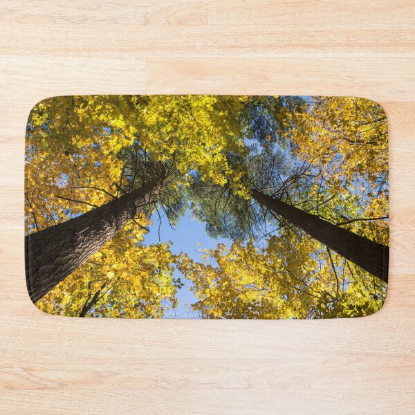 Item preview, Looking Skyward - Lodgepole Pines Slender Trunks Holding the Autumn Canopy designed and sold by Georgia Mizuleva.