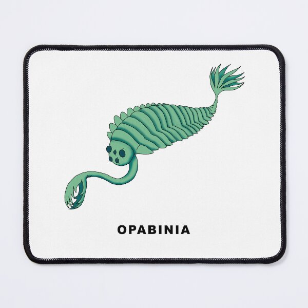 Item preview, Opabinia designed and sold by lucamendieta.