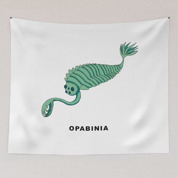 Item preview, Opabinia designed and sold by lucamendieta.