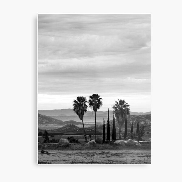 My Town Metal Print