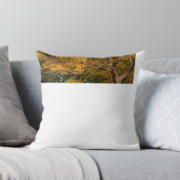 Item preview, Keep Looking UP at the Beauty of Trees in Autumn designed and sold by fototaker Tony.