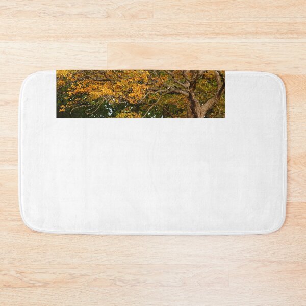 Item preview, Keep Looking UP at the Beauty of Trees in Autumn designed and sold by fototaker Tony.