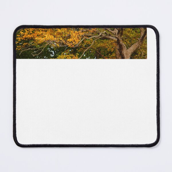 Item preview, Keep Looking UP at the Beauty of Trees in Autumn designed and sold by fototaker Tony.