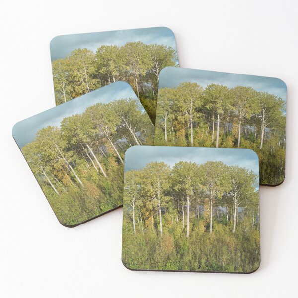 Item preview, Old aspens by the Piikkilanjarvi. October landscapes number 11 designed and sold by Jouko Lehto Photography.
