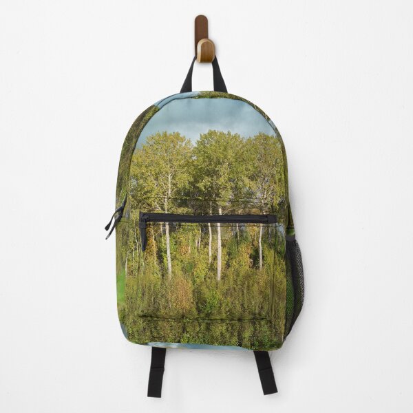 Item preview, Old aspens by the Piikkilanjarvi. October landscapes number 11 designed and sold by Jouko Lehto Photography.