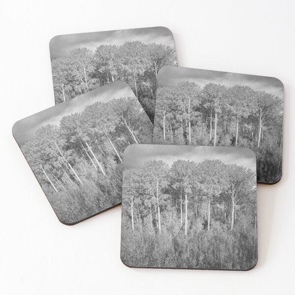 Item preview, Old aspens by the Piikkilanjarvi. October landscapes bw number 12 designed and sold by Jouko Lehto Photography.