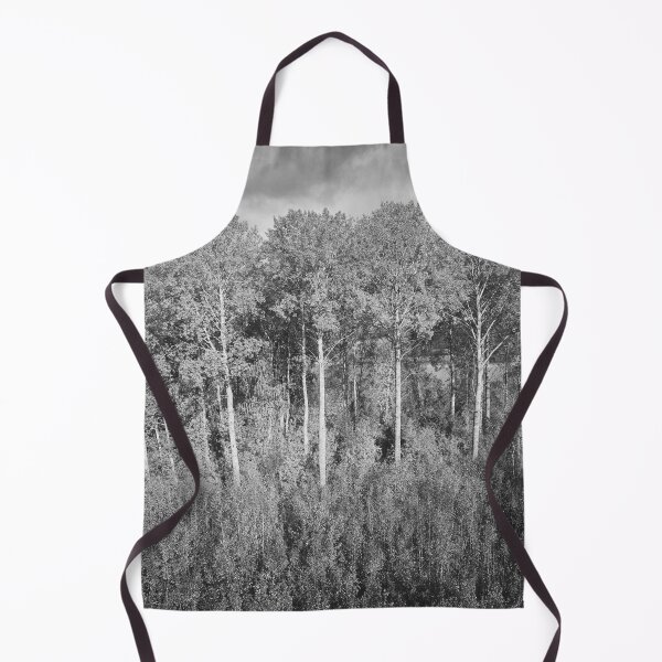 Item preview, Old aspens by the Piikkilanjarvi. October landscapes bw number 12 designed and sold by Jouko Lehto Photography.