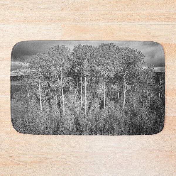 Item preview, Old aspens by the Piikkilanjarvi. October landscapes bw number 12 designed and sold by Jouko Lehto Photography.