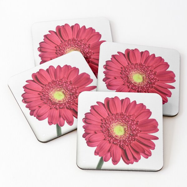 Item preview, Red Gerbera Flower designed and sold by sjdphotos.