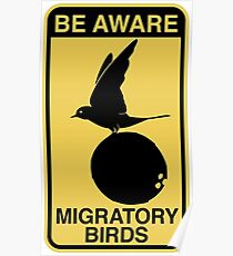 MONTY PYTHON BIRD COCONUT Poster