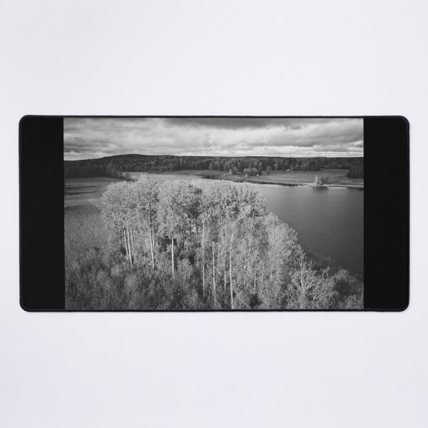 Item preview, Old aspens by the Piikkilanjarvi. October landscapes number 13 designed and sold by Jouko Lehto Photography.