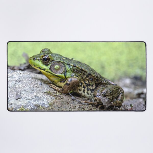 Item preview, Mr Frog Sunning designed and sold by Tim Dusenberry.
