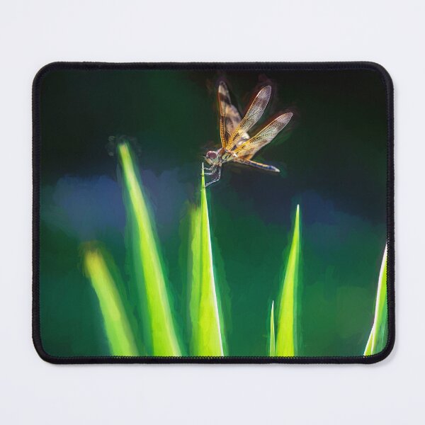Item preview, Dragonfly on Spanish Bayonet X102 designed and sold by RichFrancoCars.