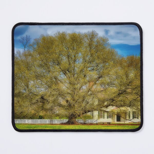 Item preview, The Colonial Williamsburg Compton Oak designed and sold by Lois  Bryan.