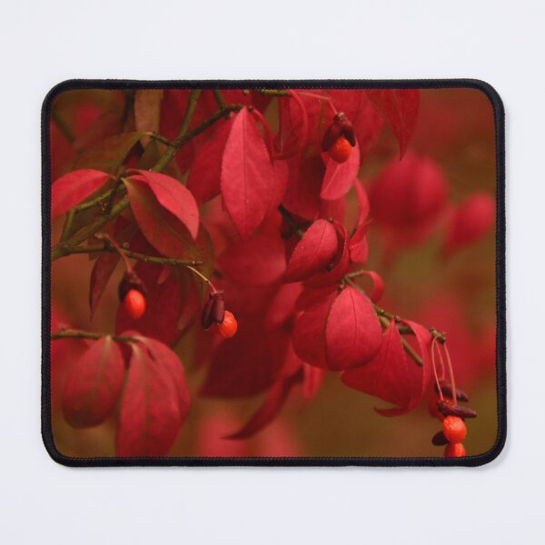 Item preview, Burning bush with berries... designed and sold by Poete100.