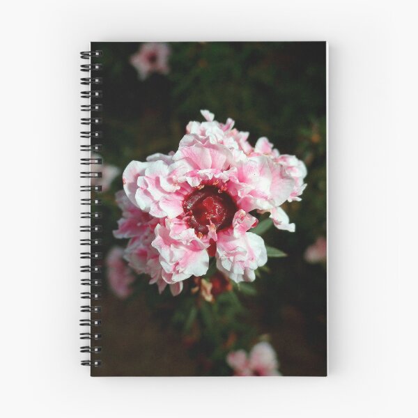 Item preview, Ruffled Pink  designed and sold by Robert Meyers-Lussier.