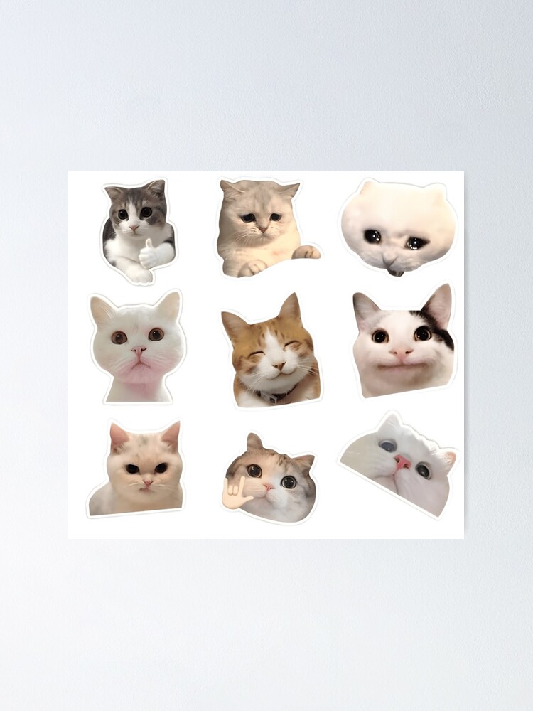 cat icon🌷  Baby cats, Cute cats and dogs, Cute baby cats