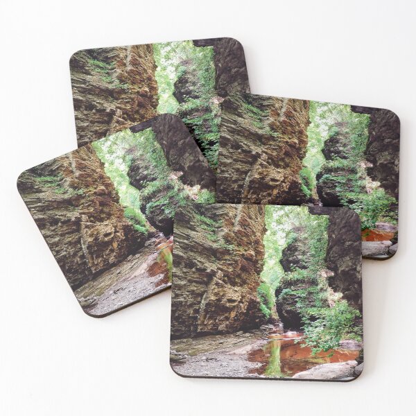 Item preview, Watkins Glen State Park George Trail designed and sold by Mel Moreno.