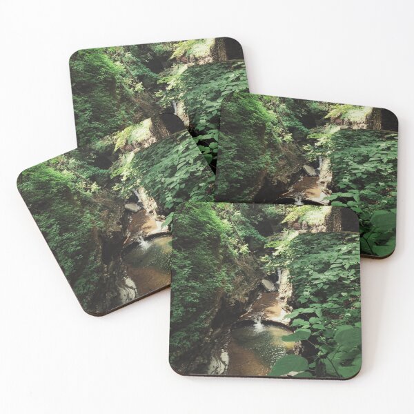 Item preview, Watkins Glen State Park George Trail designed and sold by Mel Moreno.