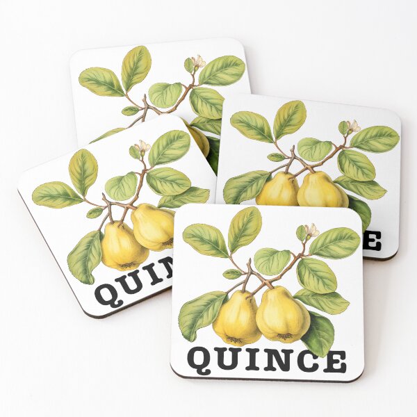 Item preview, Quince designed and sold by Simon Switala.