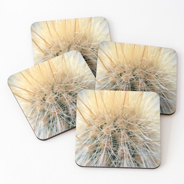 Item preview, Cactus Closeup from A Gardener's Notebook designed and sold by Douglas E. Welch Design and Photography.