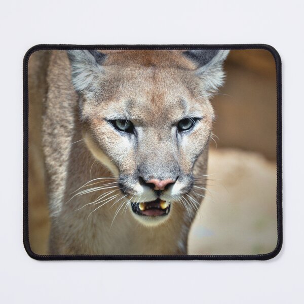 Item preview, Puma designed and sold by Savannah Gibbs.