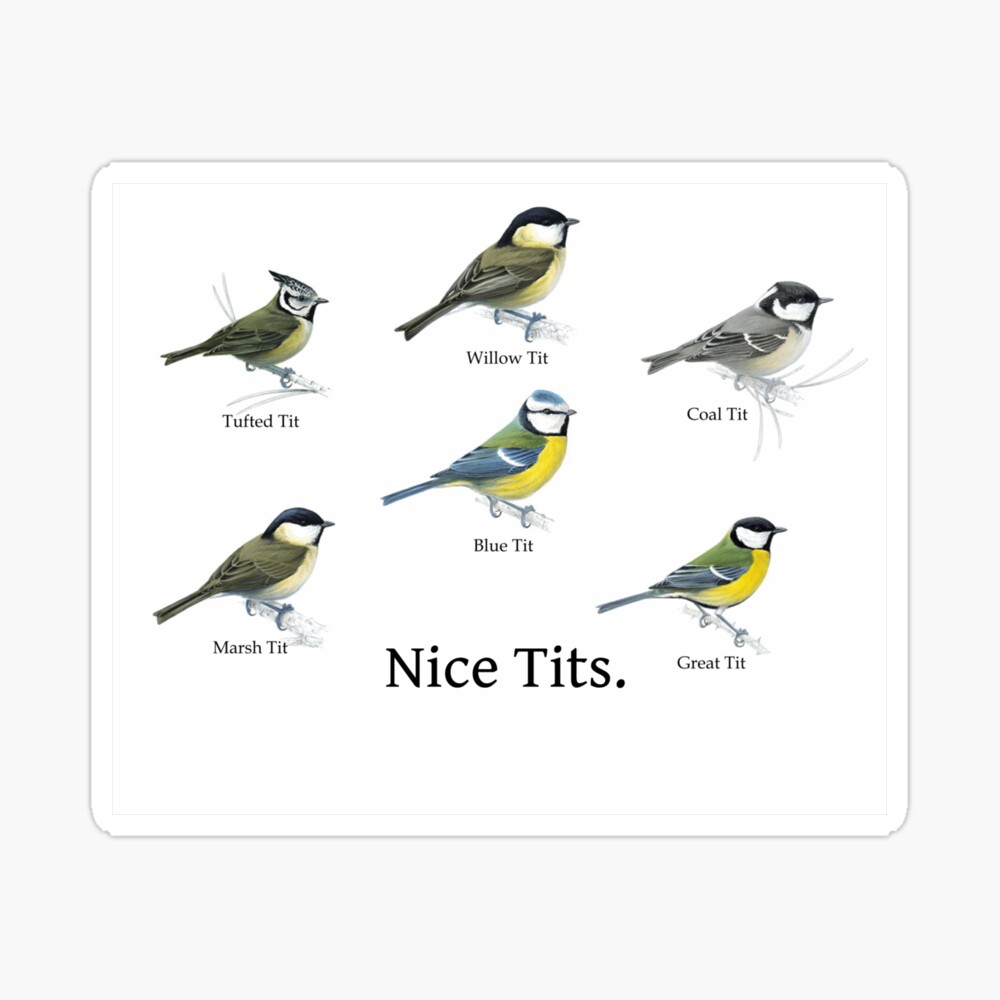 Nice Tits Birdwatcher Shirt