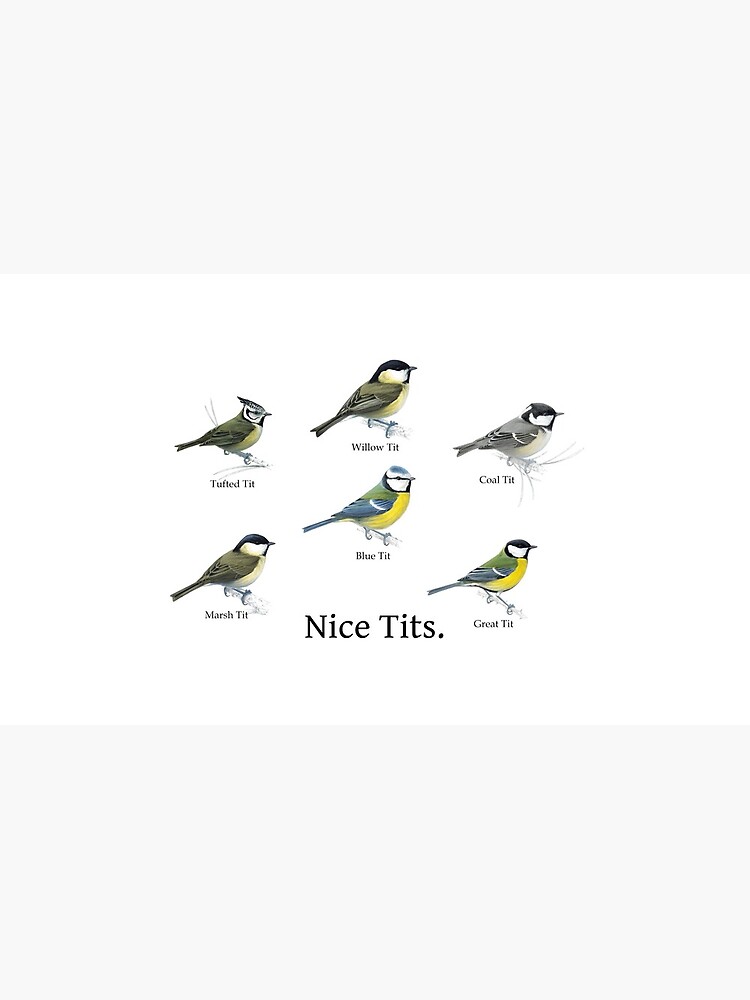 Nice Tits Birdwatcher Shirt by Cetaceous