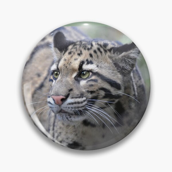 Item preview, Clouded Leopard designed and sold by Savannah Gibbs.