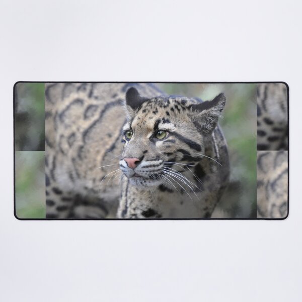 Item preview, Clouded Leopard designed and sold by Savannah Gibbs.