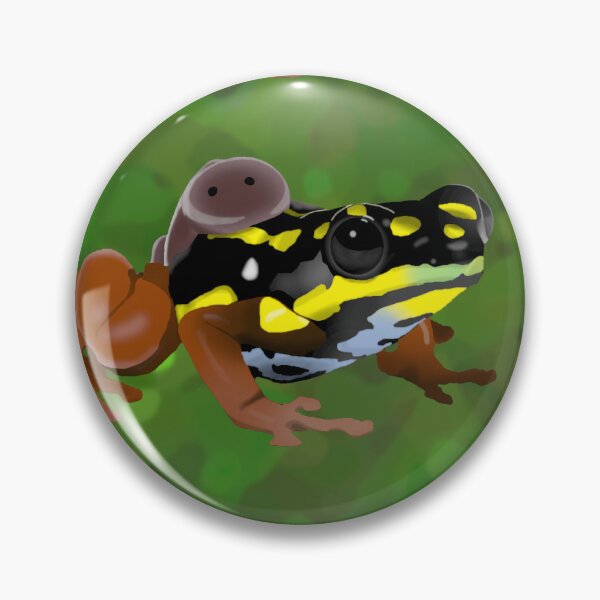 Item preview, Ranitomeya flavovittata designed and sold by ecnerwald.