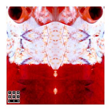 Artwork thumbnail, SHRIMP RED CRYSTAL FRESHWATER AQUARIUM by teruyalab