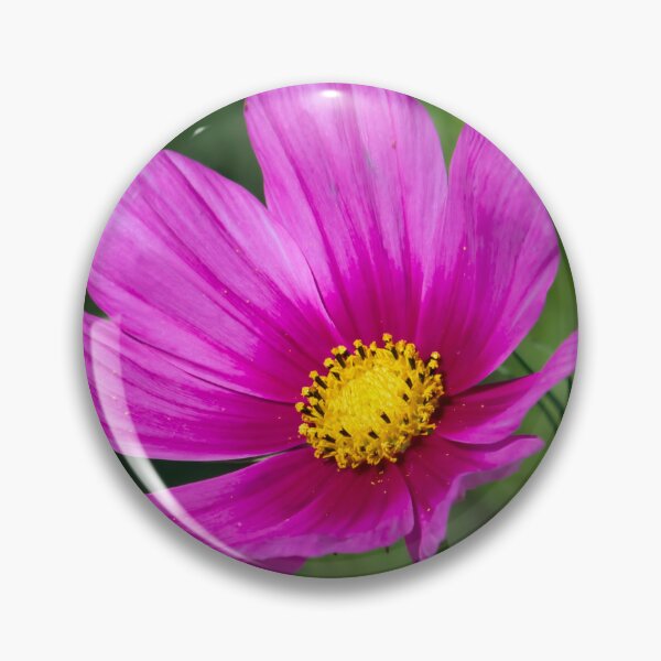 Item preview, Look Here designed and sold by alanathrower.