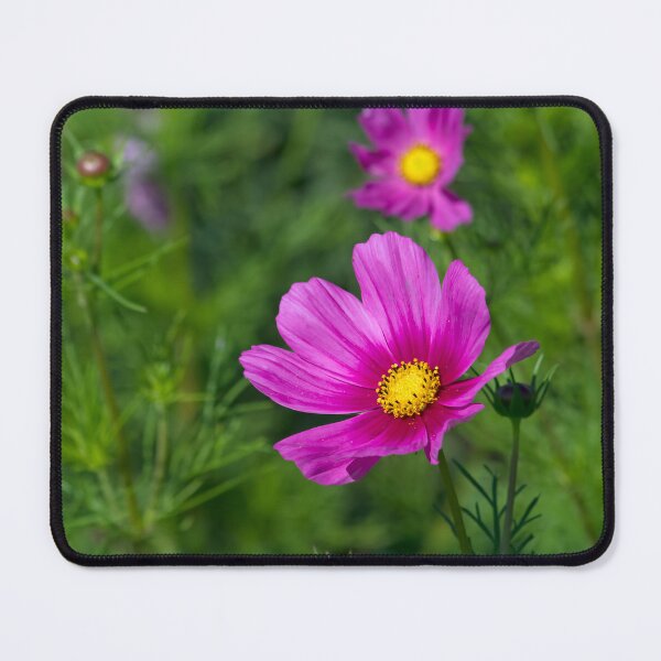 Item preview, Look Here designed and sold by alanathrower.