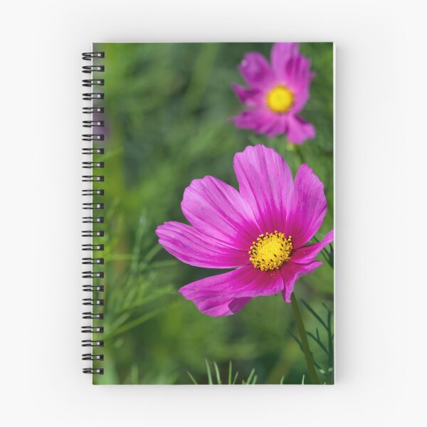 Item preview, Look Here designed and sold by alanathrower.