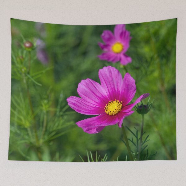 Item preview, Look Here designed and sold by alanathrower.