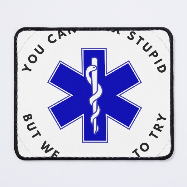 Item preview, You can't fix stupid Decal designed and sold by LighthouseTM.