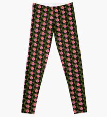 Olympia Pink Leggings