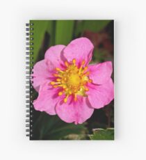 Olympia Pink Spiralblock