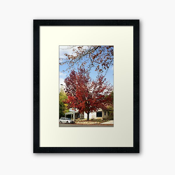 Autumn colours Framed Art Print