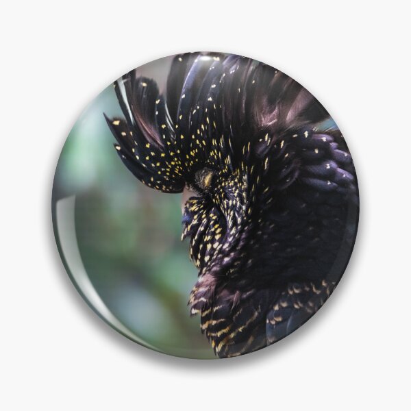 Item preview, Black Cockatoo designed and sold by Kate Powick.