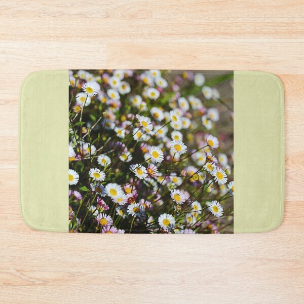 Item preview, Fuzzweed Daisy Plant designed and sold by Joy Watson - Natural Light Photography .