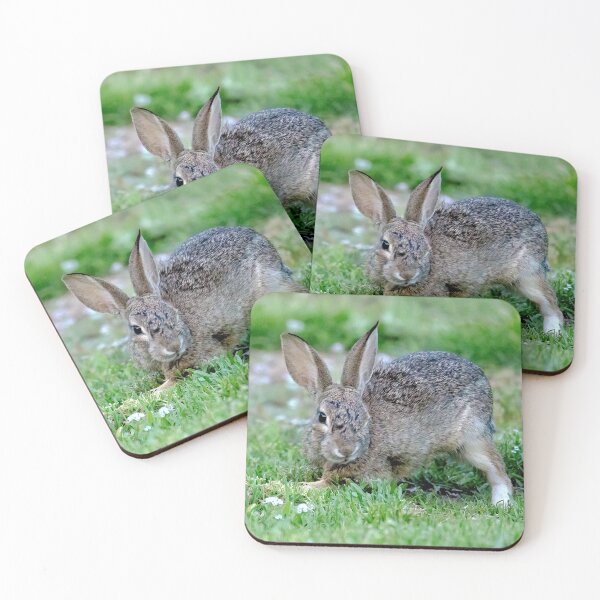 Item preview, Bunny Wink designed and sold by CarolM.