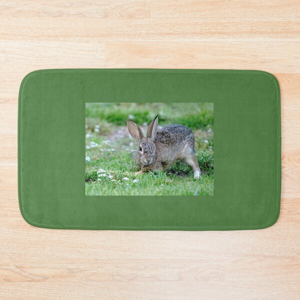 Item preview, Bunny Wink designed and sold by CarolM.