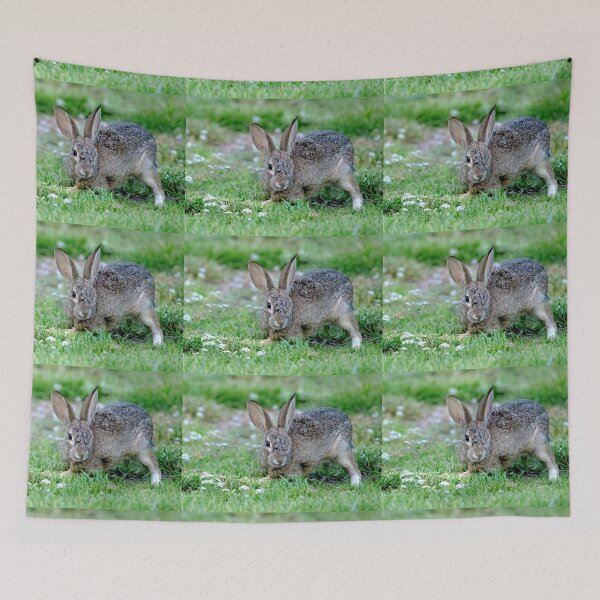 Item preview, Bunny Wink designed and sold by CarolM.